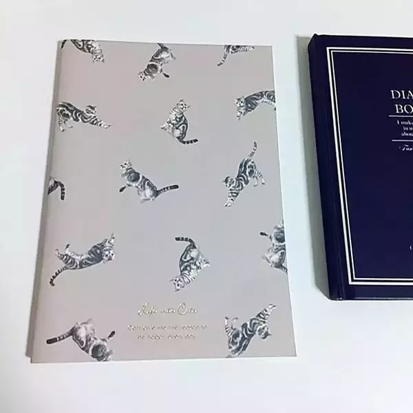 「次買うのもコレ！ユーザーさんがおすすめのセリアのリピ買い必至アイテムをご紹介」の画像