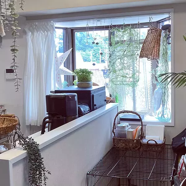「窓辺が変わる！カーテンの代用品で見つける心地よい暮らし」の画像