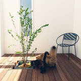 「ゆとりある空間と自然を感じる心地よい暮らし。魅力あふれる平屋のお家実例10選」の画像7