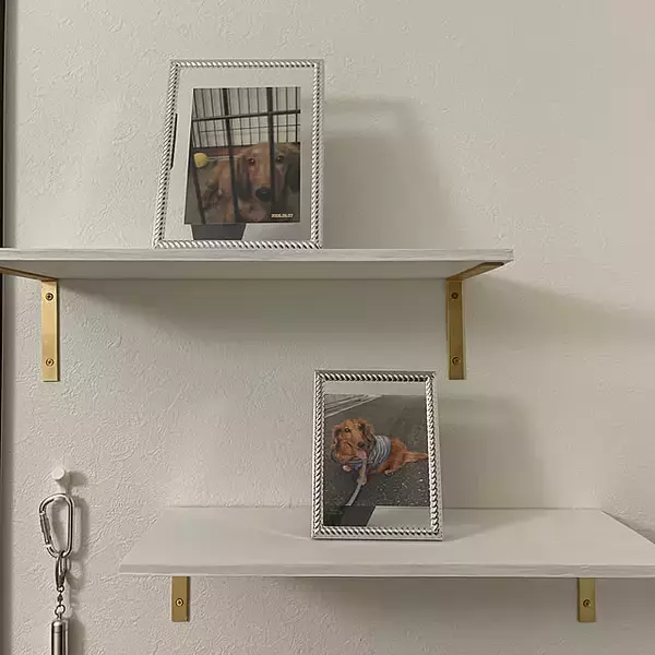 「ダイソーでDIYがもっと楽しくなる♪プチプラならペンキも挑戦しやすい」の画像