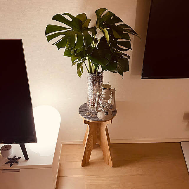 【今週の〇〇】テーマは「植物のある暮らし」！最新の投稿写真をピックアップ