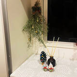 「【今週の〇〇】テーマは「植物のある暮らし」！最新の投稿写真をピックアップ」の画像4