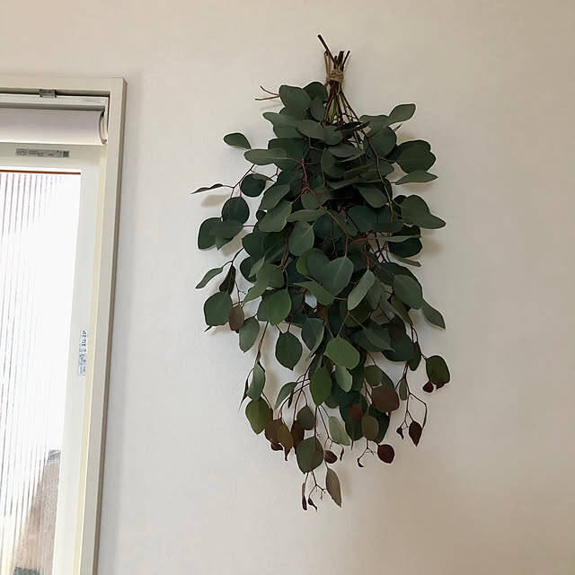 【今週の〇〇】テーマは「植物のある暮らし」！最新の投稿写真をピックアップ