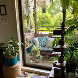 「【RoomClipが選んだ厳選3選】「観葉植物のある暮らし」がテーマの素敵な投稿実例」の画像4