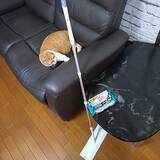 「【わが家のおすすめ4選】おうち時間がもっと心地よくなる♪快適な暮らしを叶える4つのアイテム by NOAHさん」の画像1