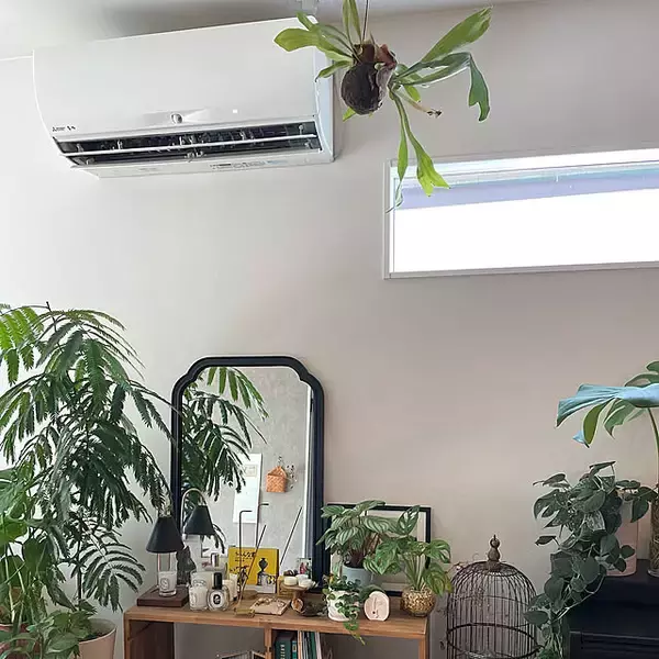 【今週の〇〇】テーマは「植物のある暮らし」！最新の投稿写真をピックアップ