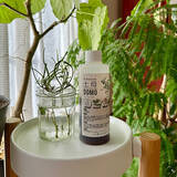 「【今週の〇〇】テーマは「植物のある暮らし」！最新の投稿写真をピックアップ」の画像2