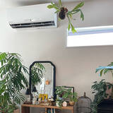 「【今週の〇〇】テーマは「植物のある暮らし」！最新の投稿写真をピックアップ」の画像4