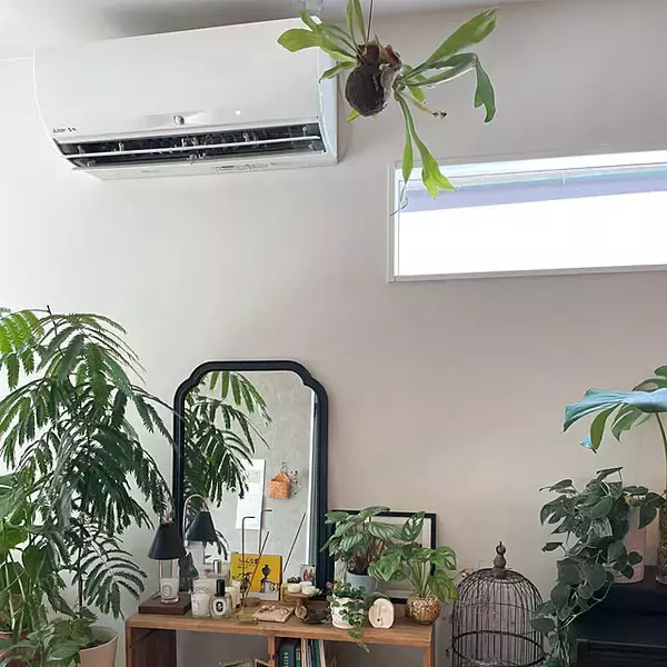 「【今週の〇〇】テーマは「植物のある暮らし」！最新の投稿写真をピックアップ」の画像