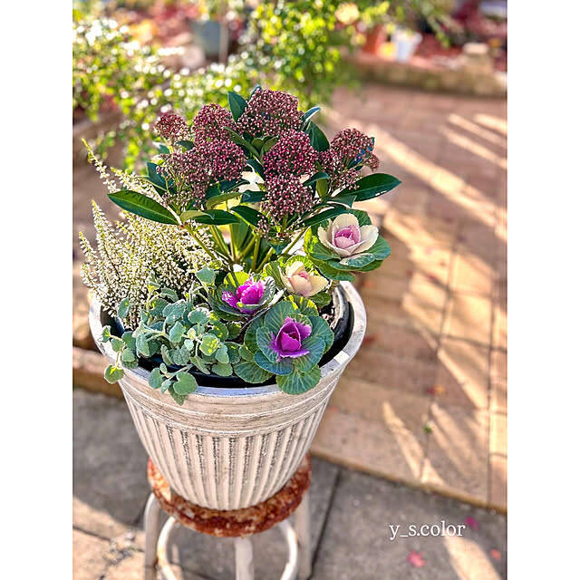 【今週の〇〇】テーマは「植物のある暮らし」！最新の投稿写真をピックアップ