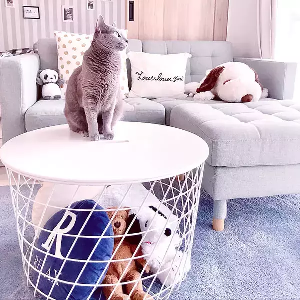 「見た目も使いやすさも両立できる！ブランケットの収納アイデア6選」の画像