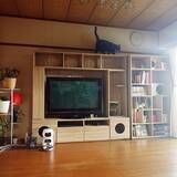 「自分らしい暮らしを手に入れたい方必見。個性あふれる居心地の良い団地のお部屋」の画像2