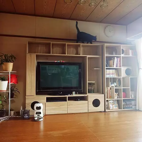 「自分らしい暮らしを手に入れたい方必見。個性あふれる居心地の良い団地のお部屋」の画像