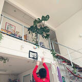 「「プランタースタンドがいい仕事をする、簡単バスケットゴールつくり」 by urchinさん」の画像7