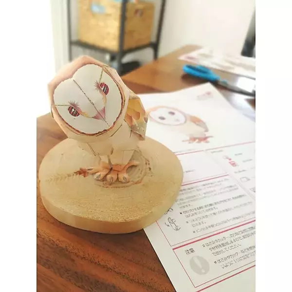 「容器からディスプレイアイテムまで☆ペーパークラフトで作るインテリア」の画像