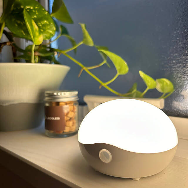 便利家電もトイレグッズもおまかせ♪ニトリのトイレにあるといいアイテム