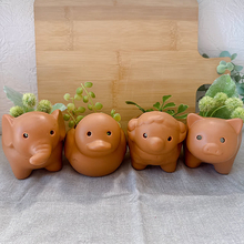 リーズナブルでうれしい！ダイソーの植木鉢で楽しむグリーンのある暮らし
