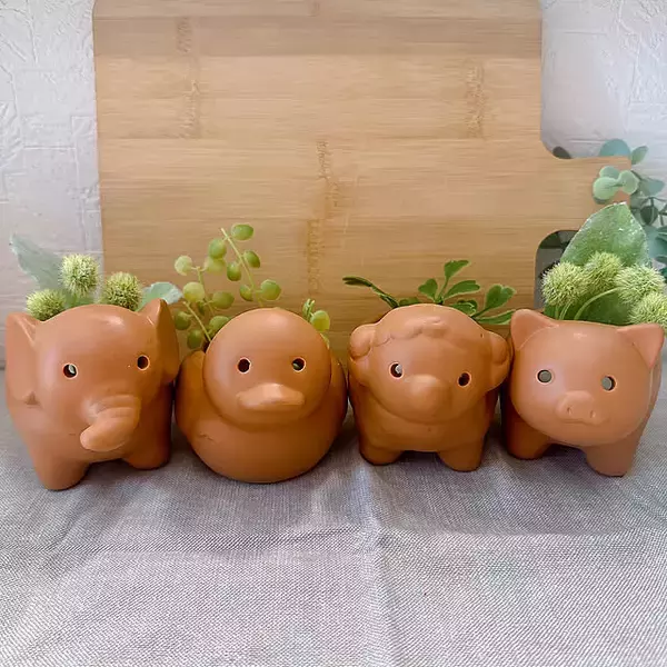 リーズナブルでうれしい！ダイソーの植木鉢で楽しむグリーンのある暮らし