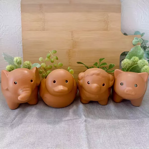 「リーズナブルでうれしい！ダイソーの植木鉢で楽しむグリーンのある暮らし」の画像