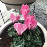 「充実した時間を過ごしたい♪休日のルーティーン作りのヒント」の画像6