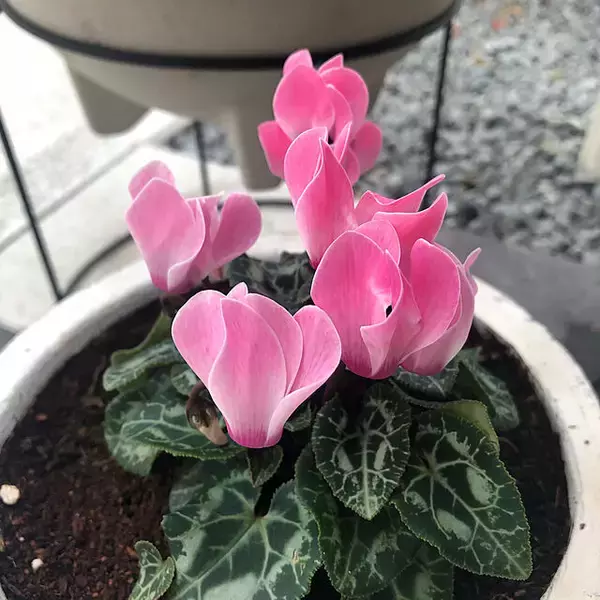 「充実した時間を過ごしたい♪休日のルーティーン作りのヒント」の画像