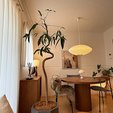 「名作照明の明かりと植物が心地よい、北欧ナチュラルな住まい」by akiさん