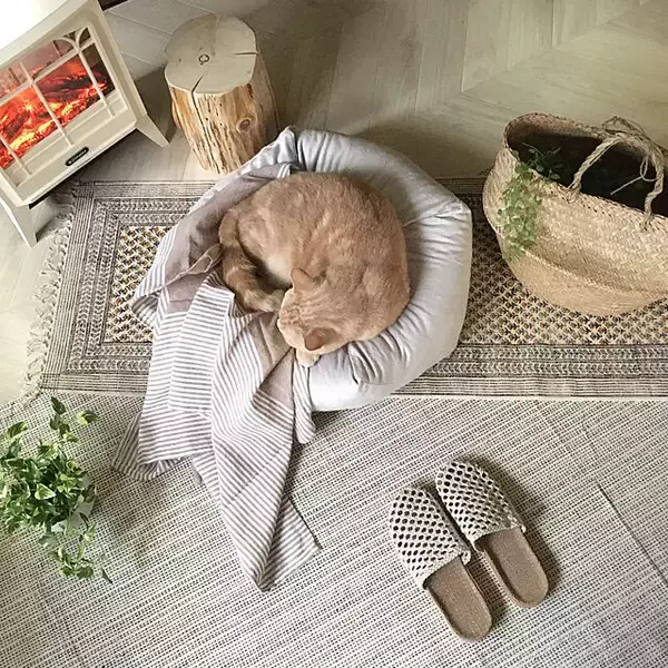 「実用性とデザイン性の両立♡やっぱり一味違うIKEAのバスケット」の画像
