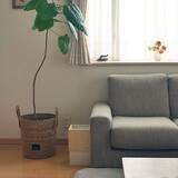 「お部屋の必需品がインテリアに♪使いやすくて見栄えもいいリビングに置きたくなるゴミ箱6選」の画像3