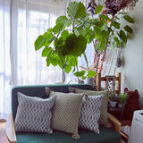 「ふっくらとしたボリュームと弾力が心地いい♪無印良品の羽根クッション」の画像5