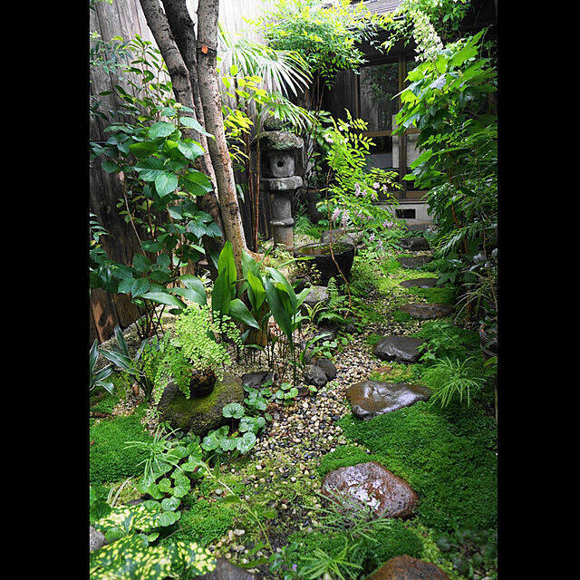 ゆったりとしたひとときを過ごせる。憧れの「中庭のあるおうち」