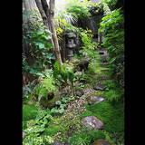 「ゆったりとしたひとときを過ごせる。憧れの「中庭のあるおうち」」の画像3