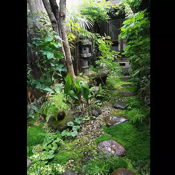 「ゆったりとしたひとときを過ごせる。憧れの「中庭のあるおうち」」の画像