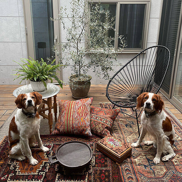 ゆったりとしたひとときを過ごせる。憧れの「中庭のあるおうち」