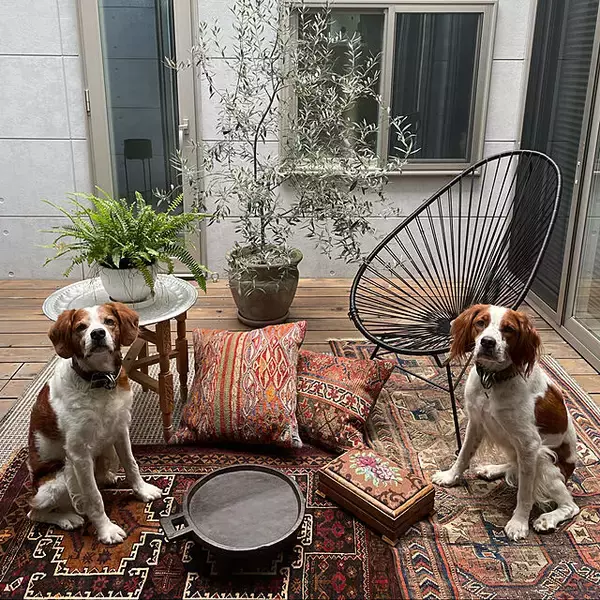 「ゆったりとしたひとときを過ごせる。憧れの「中庭のあるおうち」」の画像