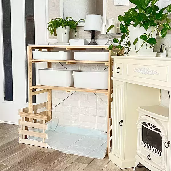 「安心できるおうちづくりを♪ペットとの幸せな暮らしを実現するDIYアイデア」の画像