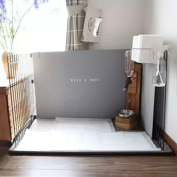 「安心できるおうちづくりを♪ペットとの幸せな暮らしを実現するDIYアイデア」の画像