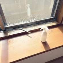 【今週の〇〇】テーマは「掃除」！最新の投稿写真をピックアップ