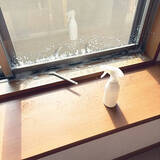 「【今週の〇〇】テーマは「掃除」！最新の投稿写真をピックアップ」の画像2