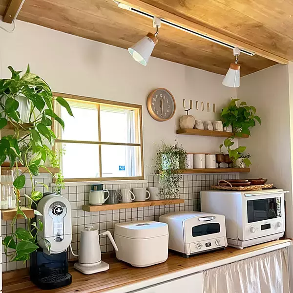 「「DIY×グリーンで自分らしく♪作ることを楽しむ、ボタニカルなキッチン」 by yumimaruさん」の画像