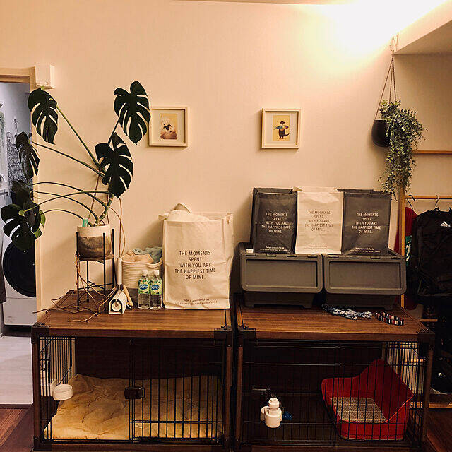 スマートで快適な暮らしに役立つ♪アイリスオーヤマのおすすめアイテム