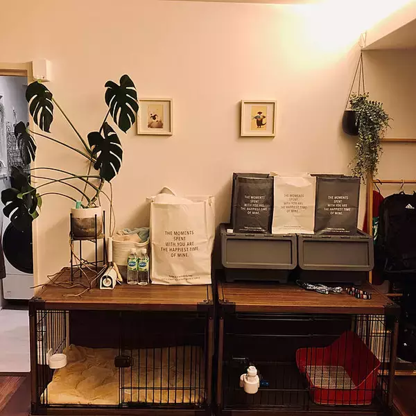 「スマートで快適な暮らしに役立つ♪アイリスオーヤマのおすすめアイテム」の画像