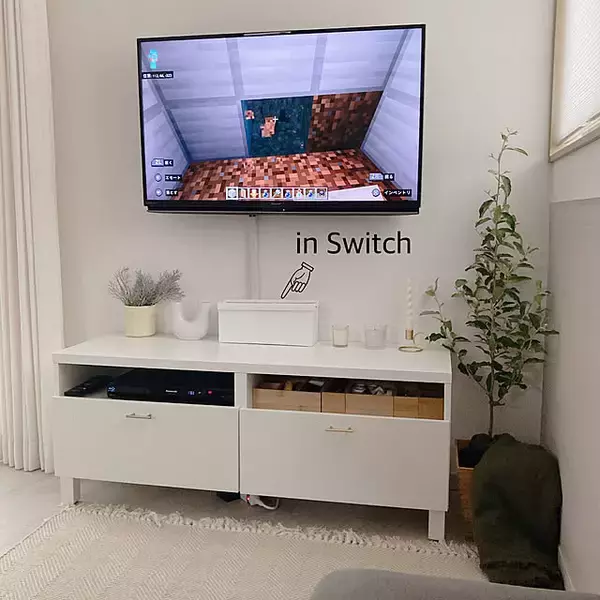 「テレビ周りをスッキリ収納するのに役立つ☆ダイソーの便利アイテム特集」の画像