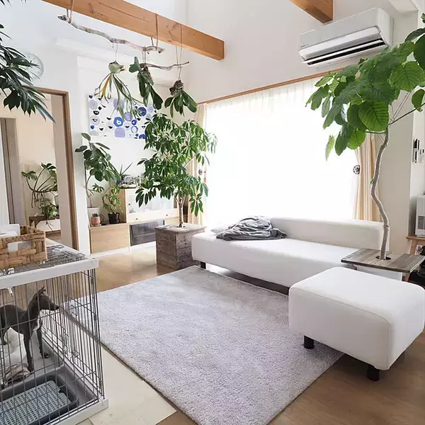 「愛用者多数！一度は試してみてほしい無印良品の実力派アイテム10選」の画像