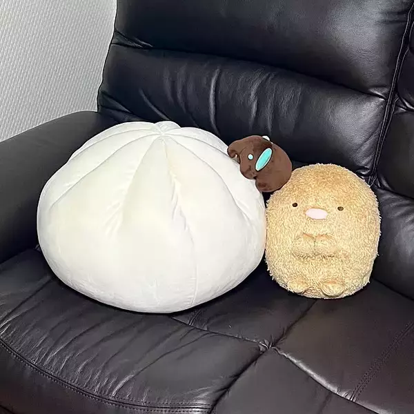 「バラエティに富んだラインナップから目が離せない！ニトリで今推したいクッション6選」の画像