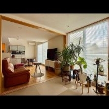 【今週の〇〇】テーマは「植物のある暮らし」！最新の投稿写真をピックアップ