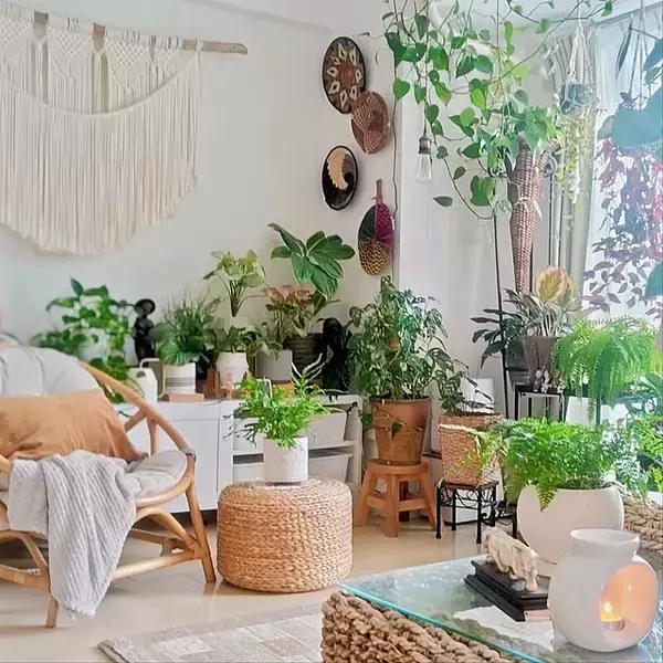 「【今週の〇〇】テーマは「植物のある暮らし」！最新の投稿写真をピックアップ」の画像