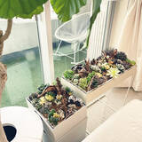 「【今週の〇〇】テーマは「植物のある暮らし」！最新の投稿写真をピックアップ」の画像4