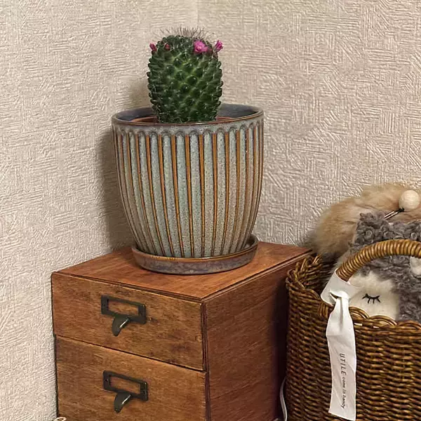 「【今週の〇〇】テーマは「植物のある暮らし」！最新の投稿写真をピックアップ」の画像