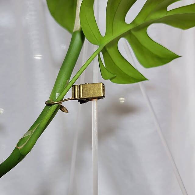 ただ挟むだけじゃない！暮らしをスムーズにするクリップ活用法