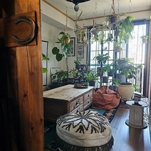 【今週の〇〇】テーマは「植物のある暮らし」！最新の投稿写真をピックアップ
